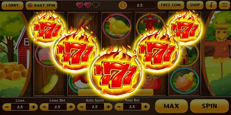 ck
444 win